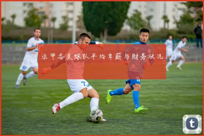 法甲各支球队平均年薪与财务状况