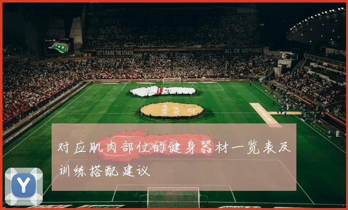 对应肌肉部位的健身器材一览表及训练搭配建议