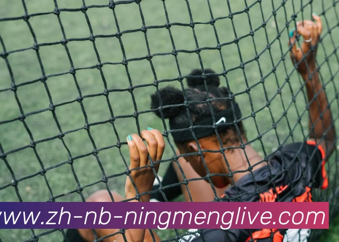 多媒体互动体验